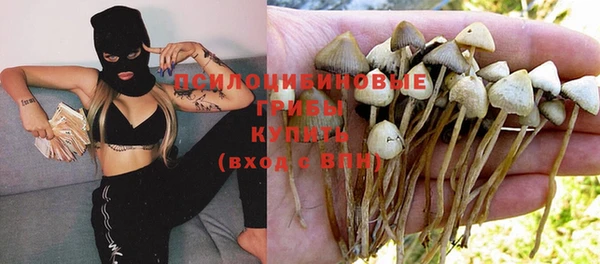 меф Балахна