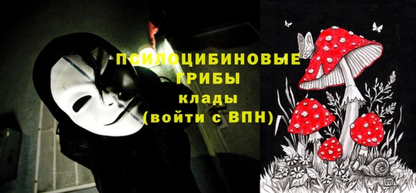 гидра Баксан