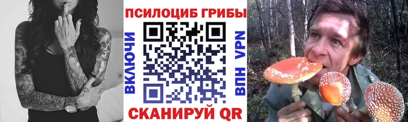 Псилоцибиновые грибы прущие грибы  Минеральные Воды 